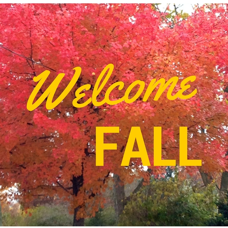 R. Poust Heating offers Fall Inspections